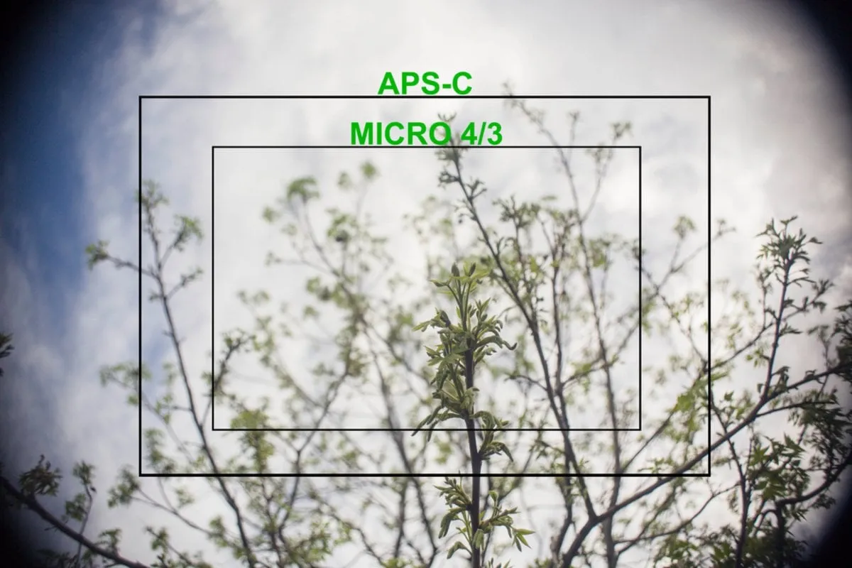 Full and non-full camera | Skylum Blog