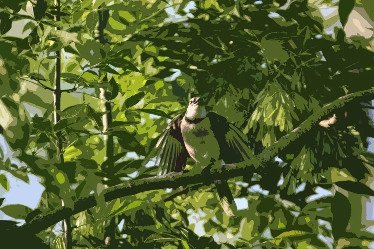 Painting Effects | Skylum Blog