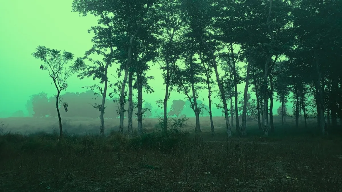 Cinematic Color | Skylum Blog