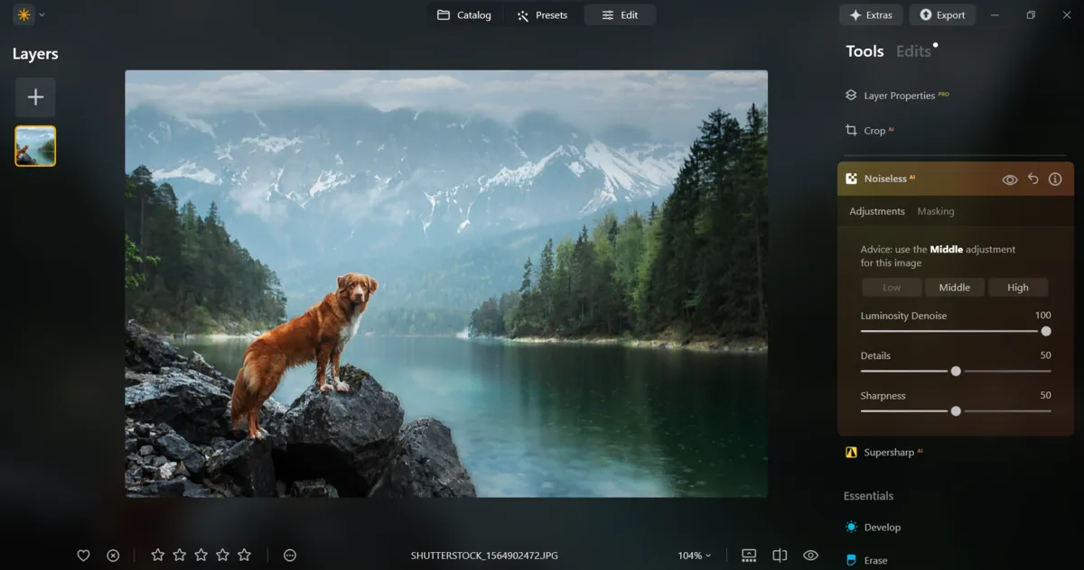 Noiseless in Luminar Neo | Skylum Blog