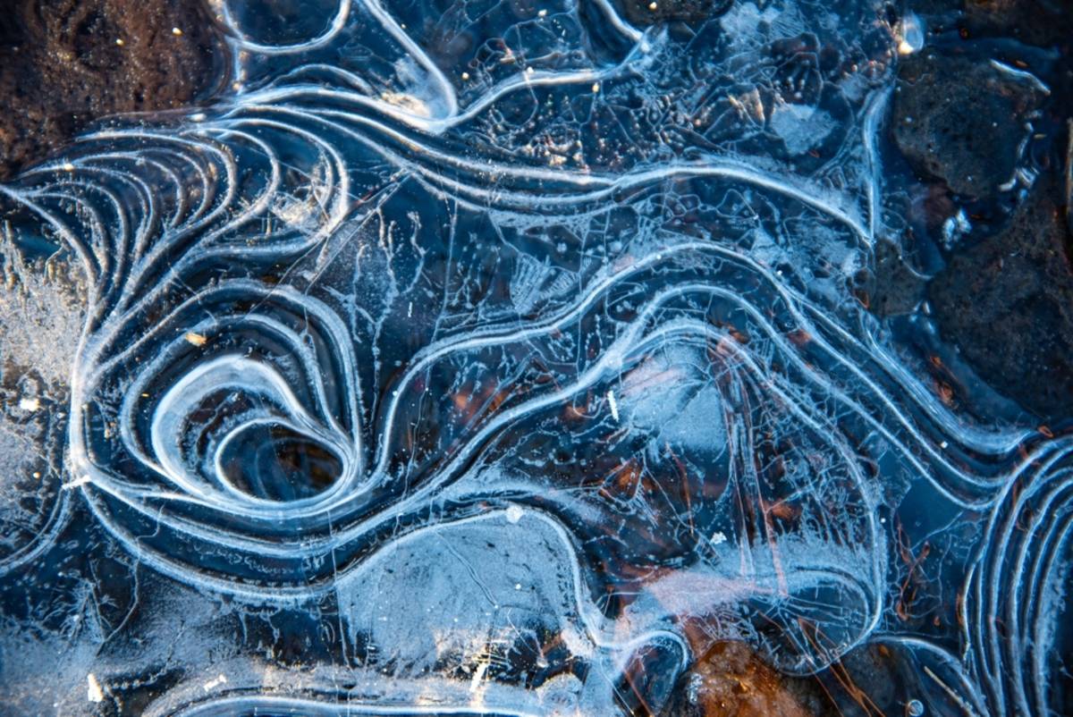 Macro photo of a frozen ice pattern art | Skylum Blog