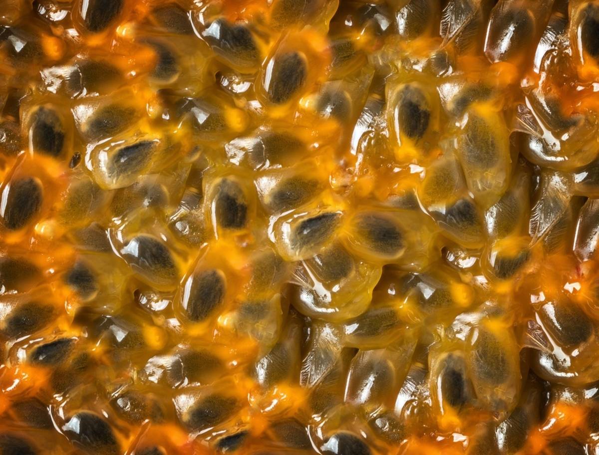 Passion fruit macro photo | Skylum Blog