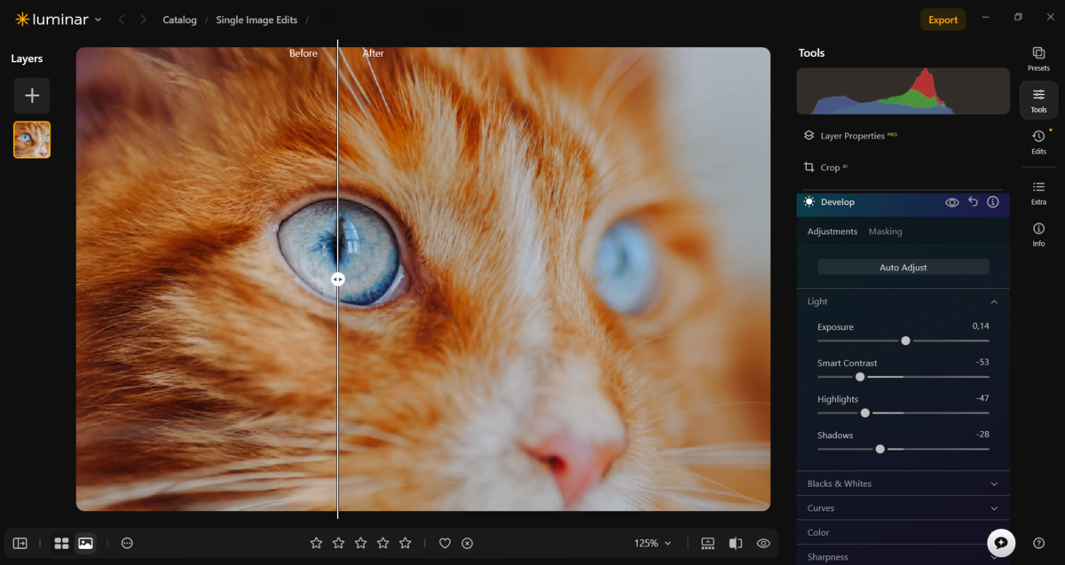 Editing macro photos in Luminar | Skylum Blog
