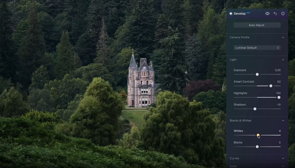 Luminar Develop RAW tool