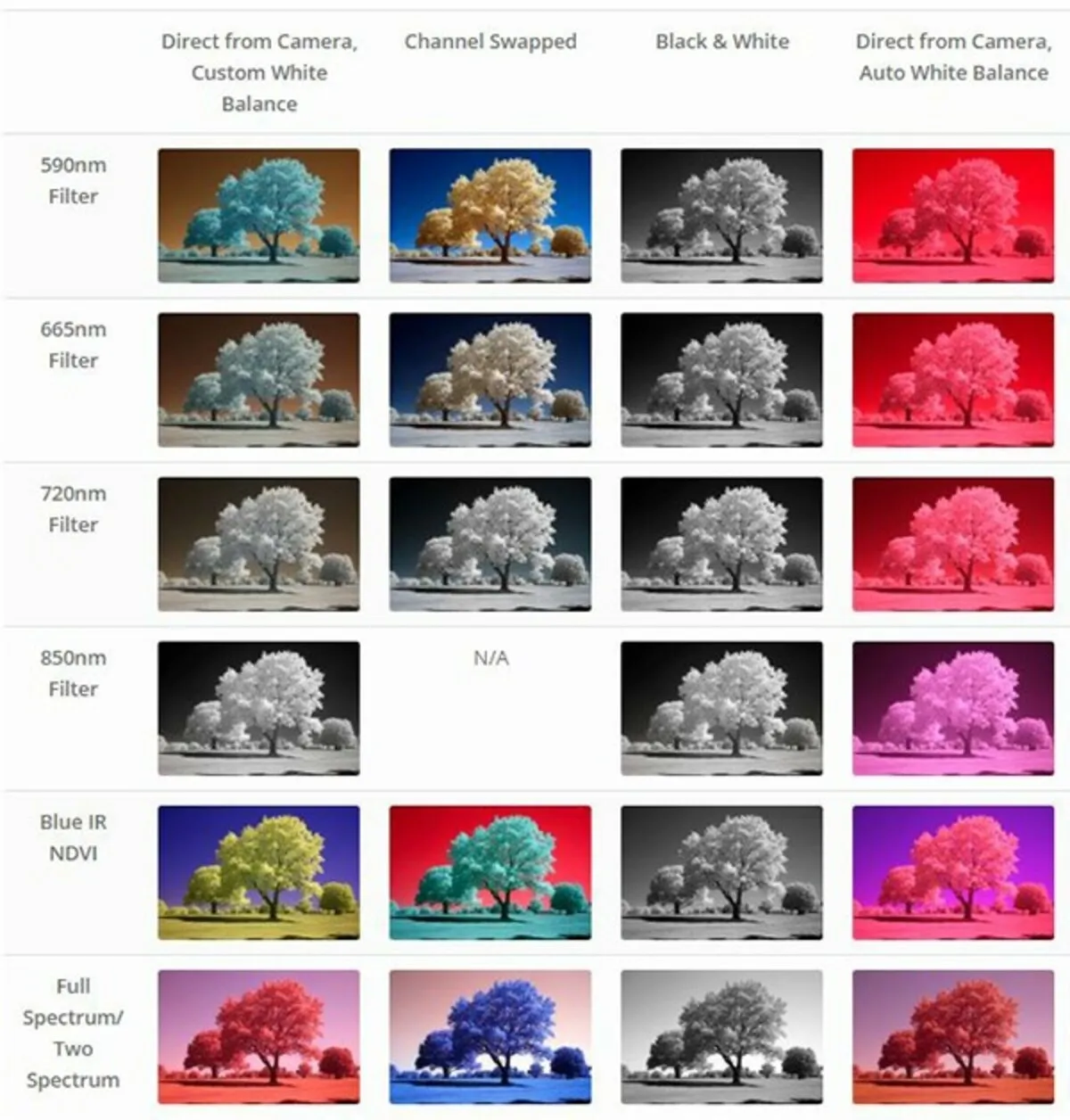 Infrared Photo Filters| Skylum Blog
