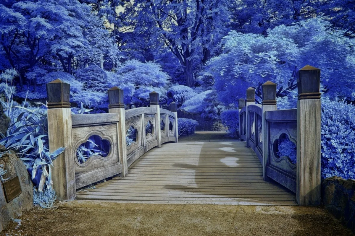 Infrared photo of the bridge| Skylum Blog