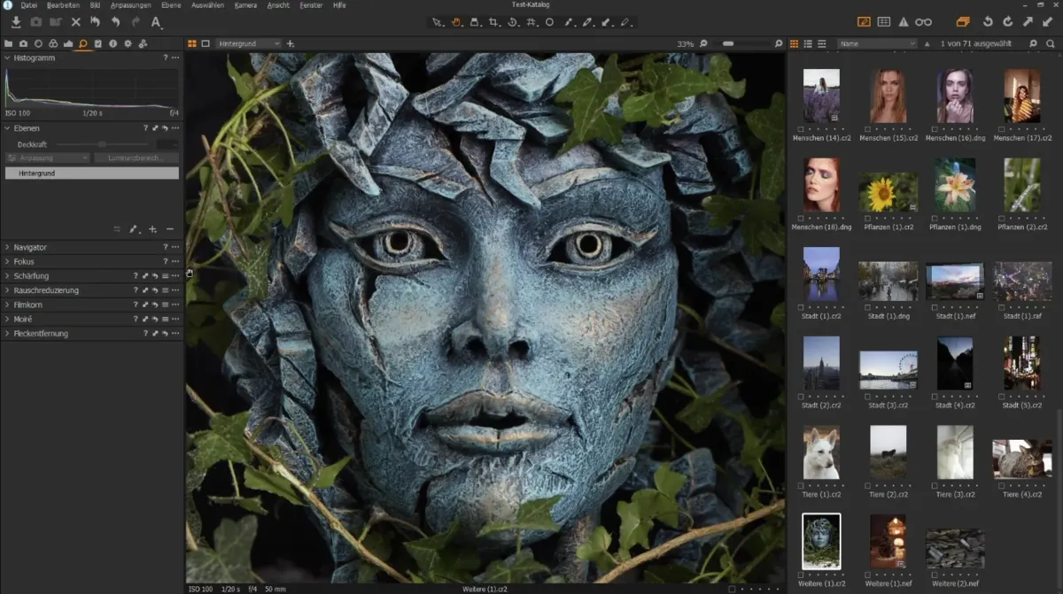 Capture One Pro | Skylum Blog