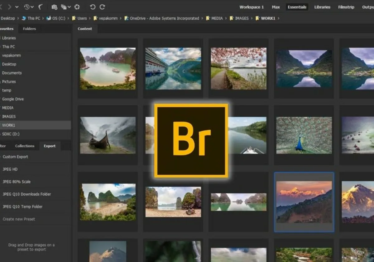 Adobe Bridge | Skylum Blog