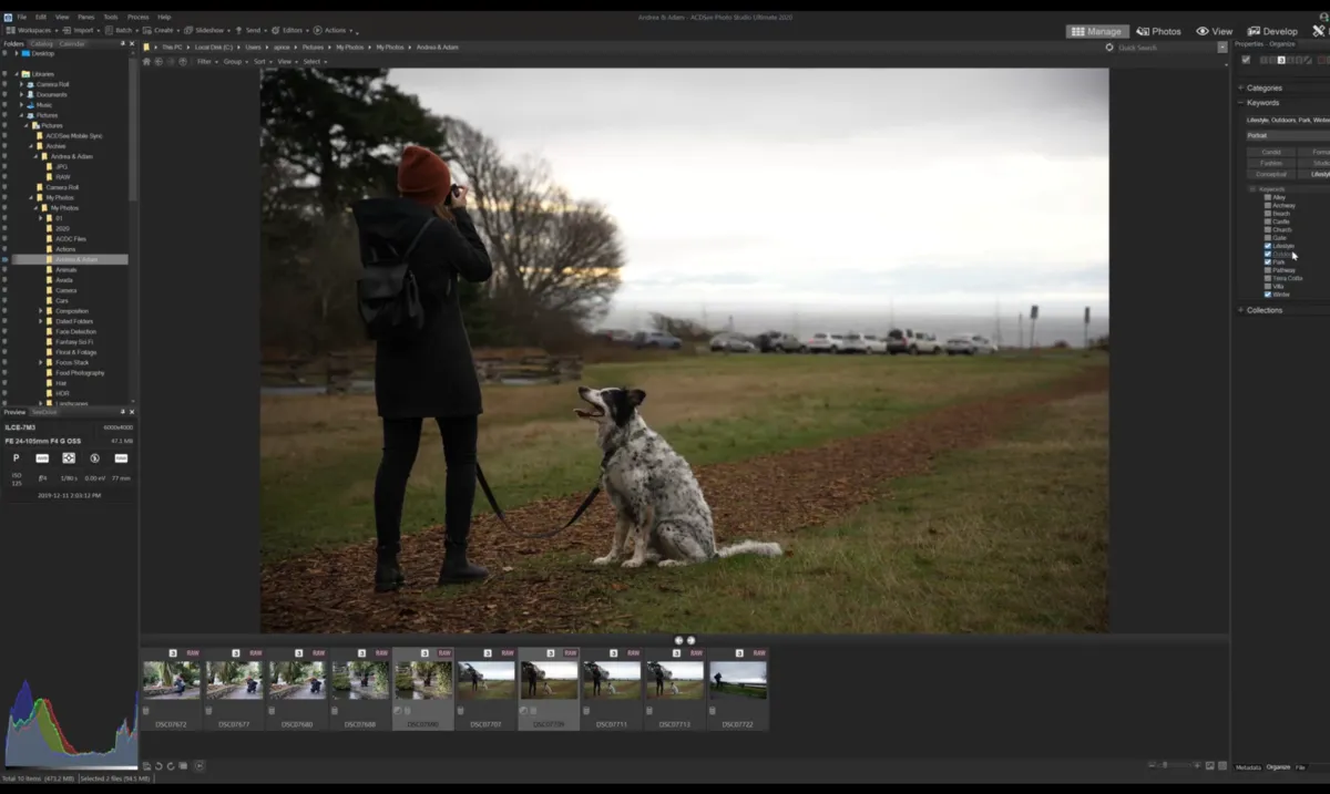 DAM interface | Skylum Blog