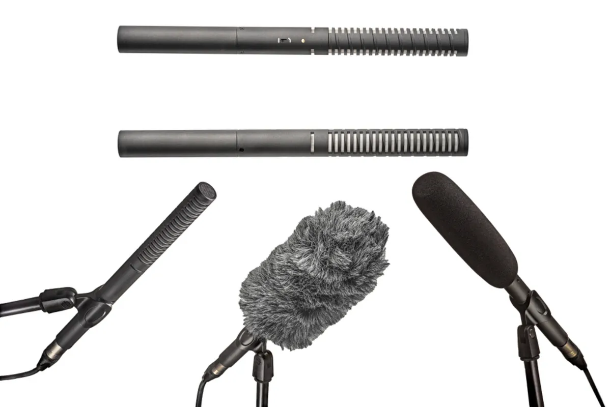 Shotgun mics | Skylum Blog