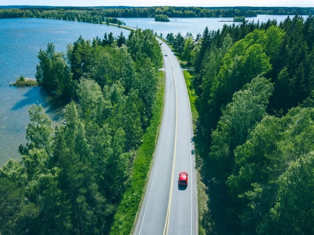 Drone photo of a tree-lined road | Skylum Blog