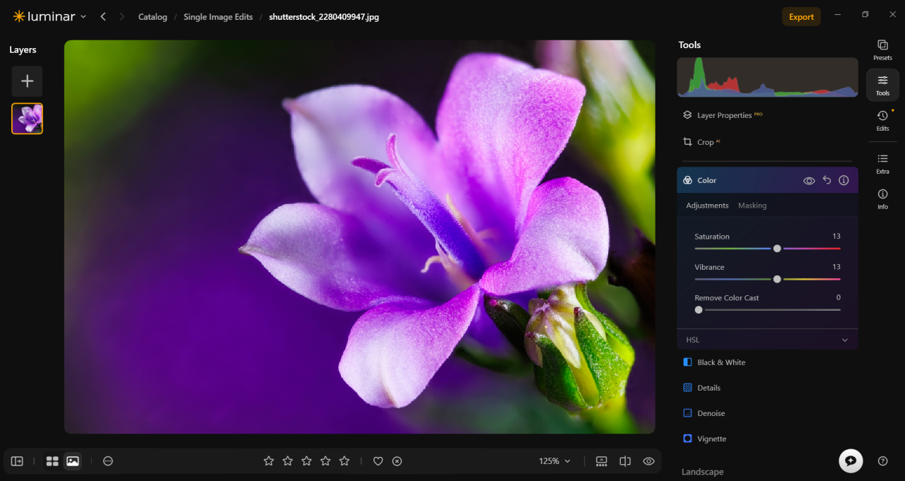 Vibrance and Saturation in Luminar