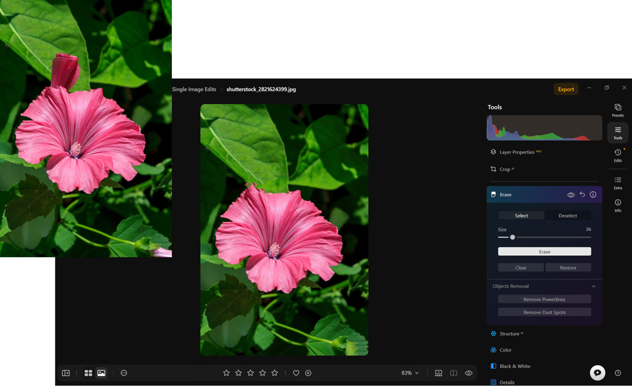 Luminar's Erase tool