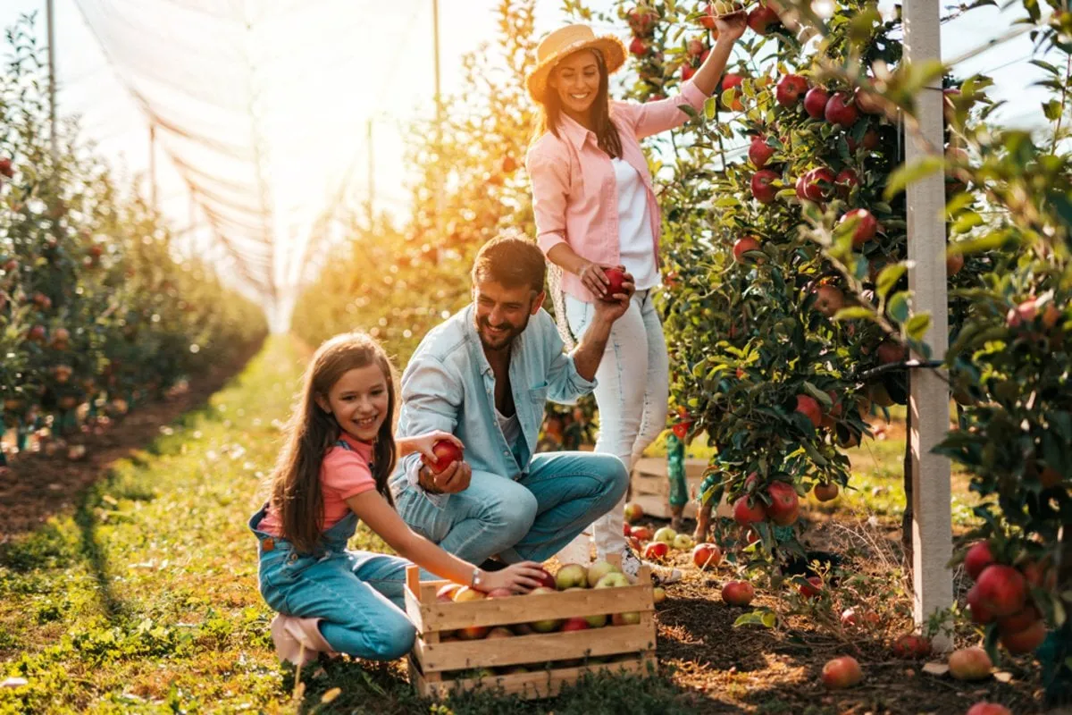 Photo of a family in an apple orchard | Skylum Blog