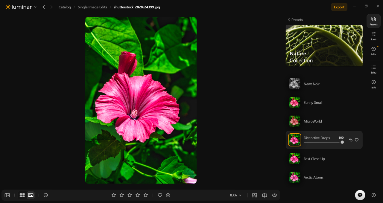 Presets in Luminar