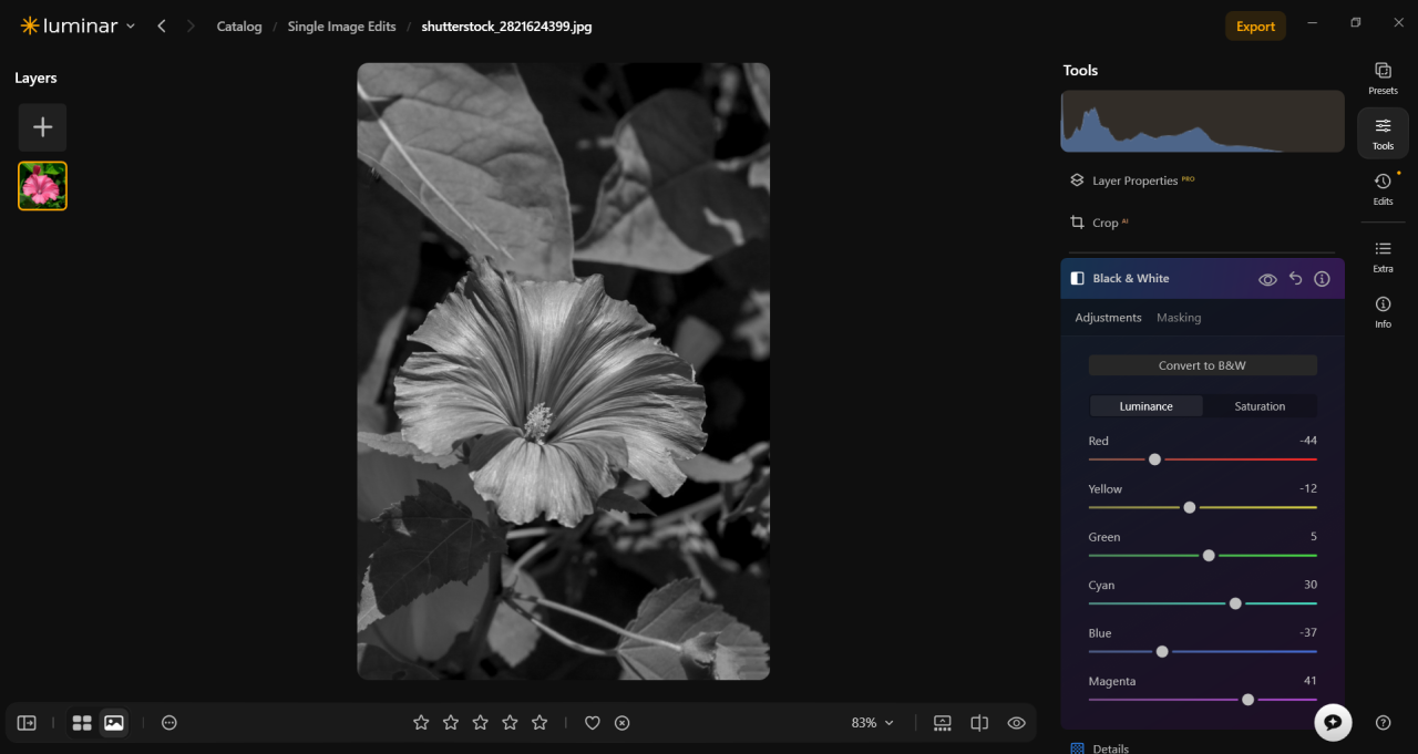 Black-and-White in Luminar