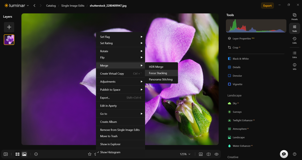 Luminar's Focus Stacking tool