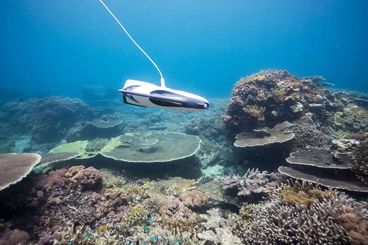 Underwater drone in the depths | Skylum Blog