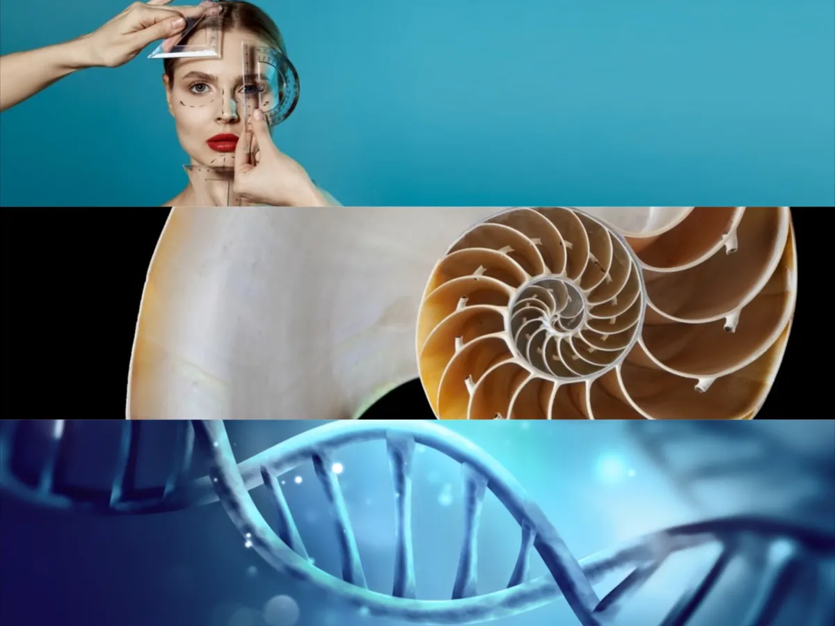 The Golden Ratio in Life| Skylum Blog