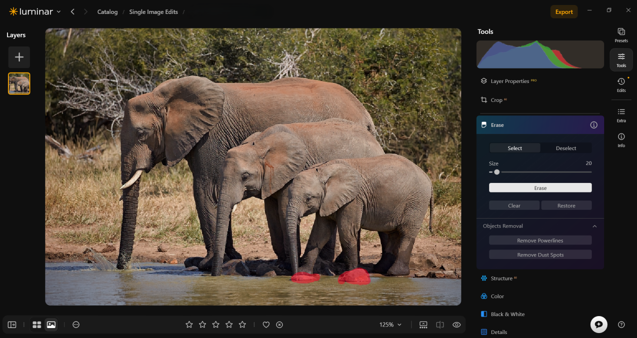 Luminar's Erase tool