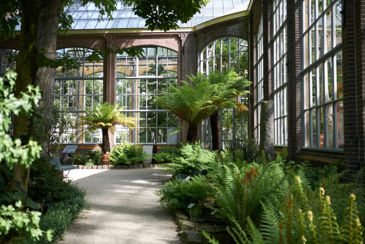 Hortus Botanicus Greenhouses | Skylum Blog