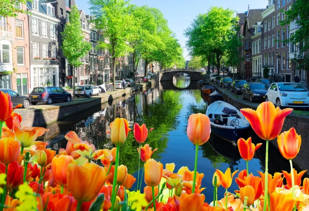Amsterdam in spring | Skylum Blog