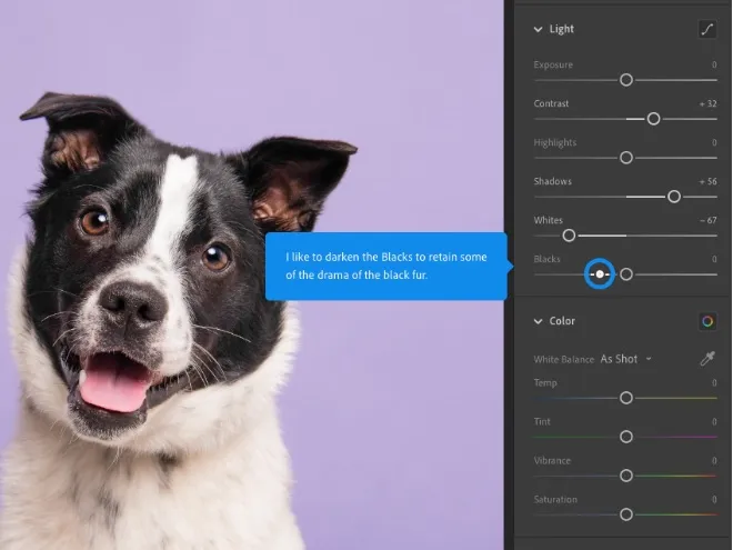Microsoft Paint Alternatives