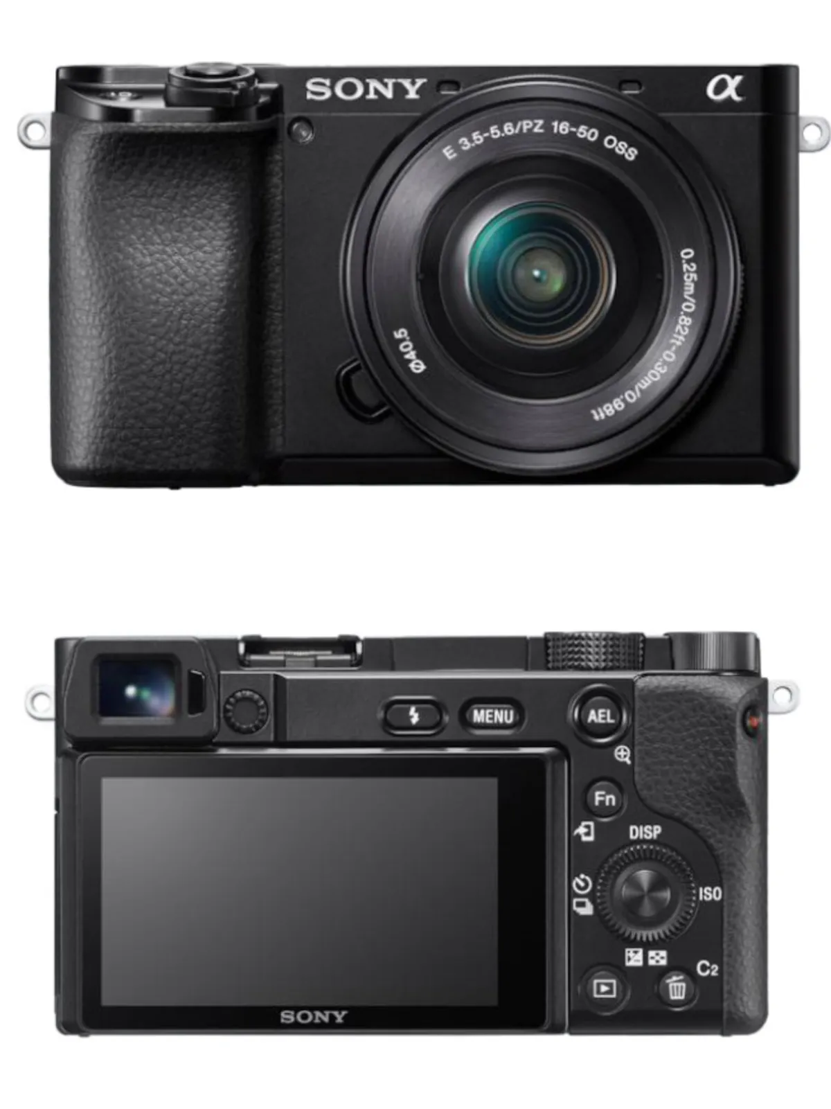 Sony A6100 | Skylum Blog