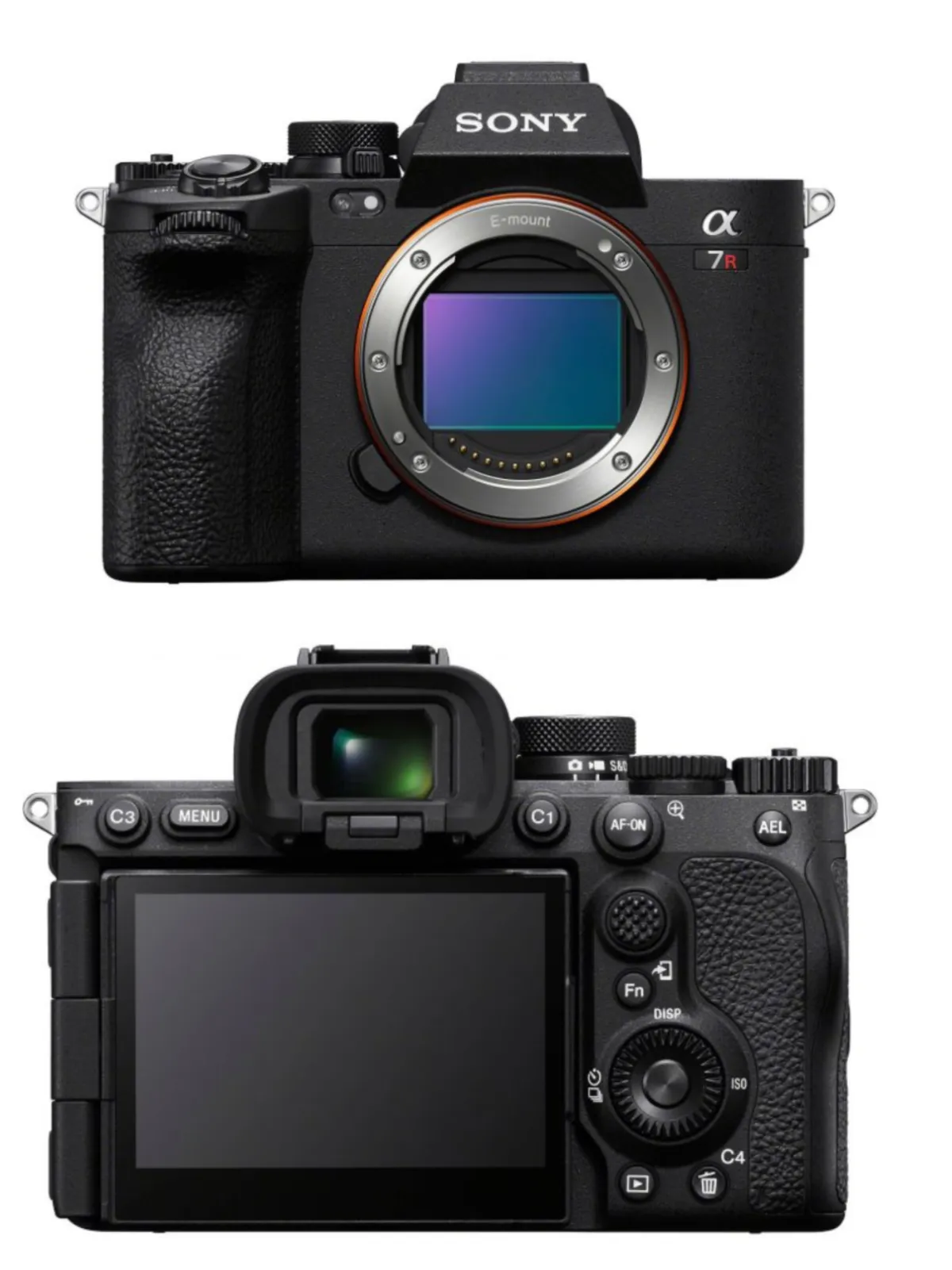 Sony A7R V | Skylum Blog