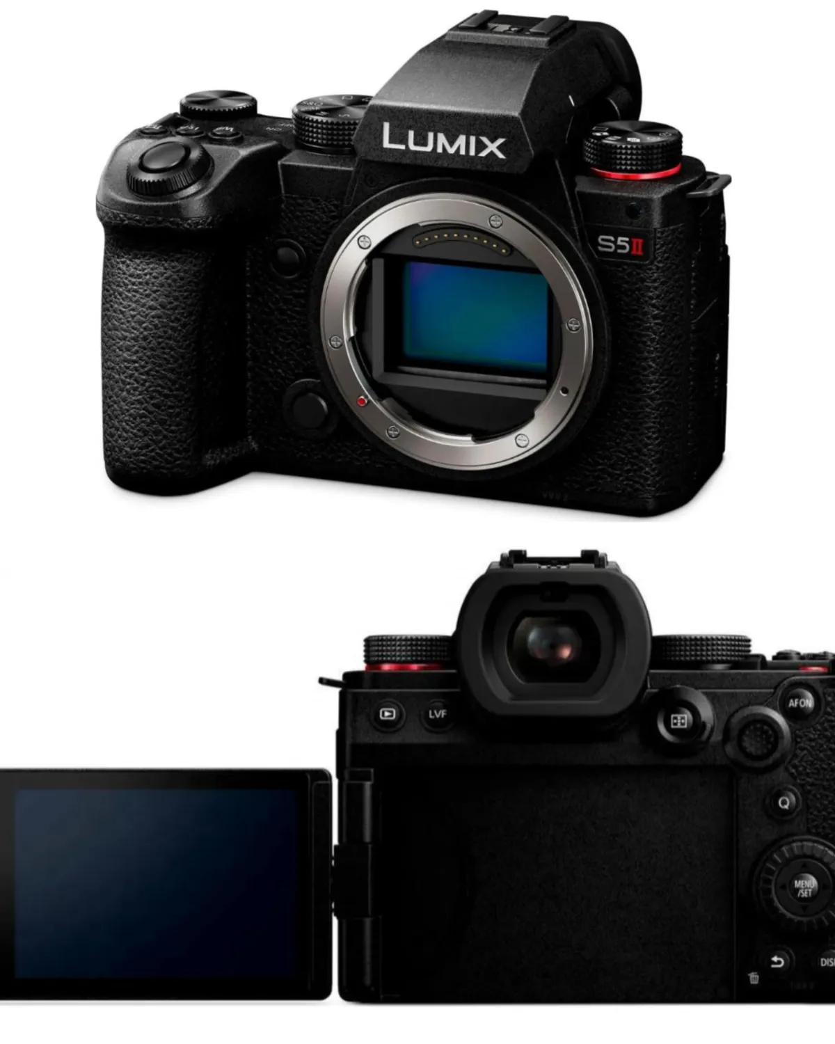 Panasonic Lumix S5 II | Skylum Blog