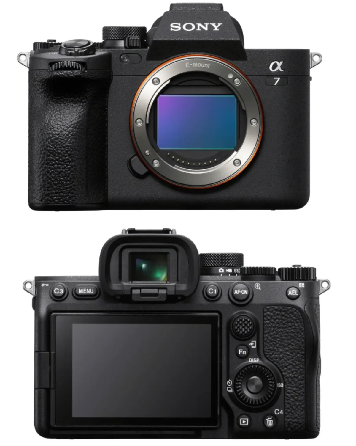 Sony A7 IV | Skylum Blog