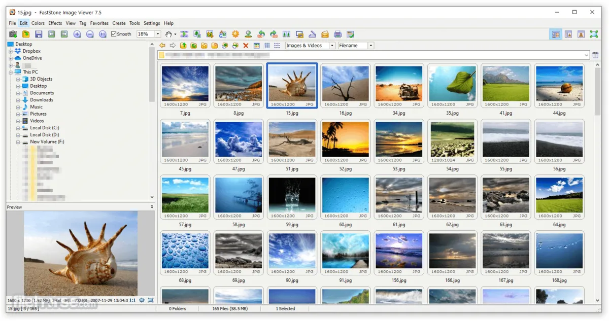 FastStone Image Viewer | Skylum Blog