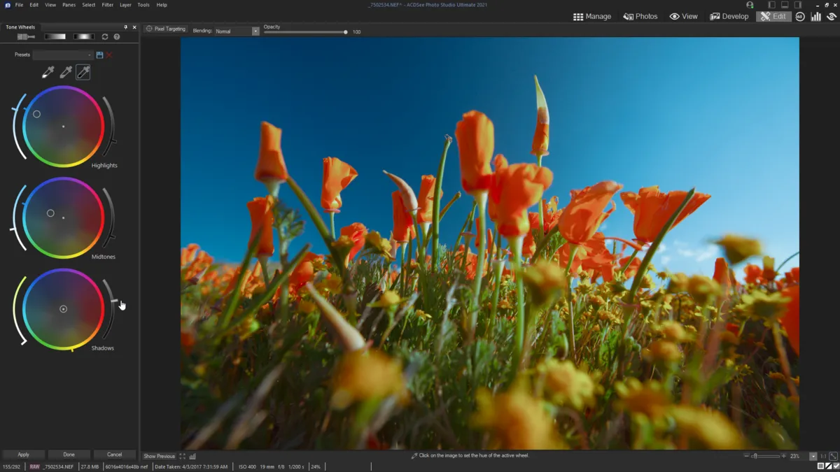 Selecting a tone in ACDSee | Skylum Blog