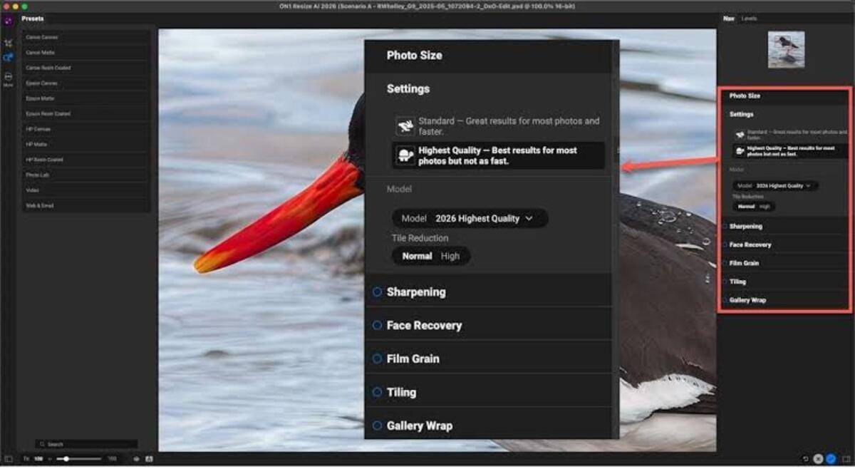 ON1 Resize AI | Skylum Blog