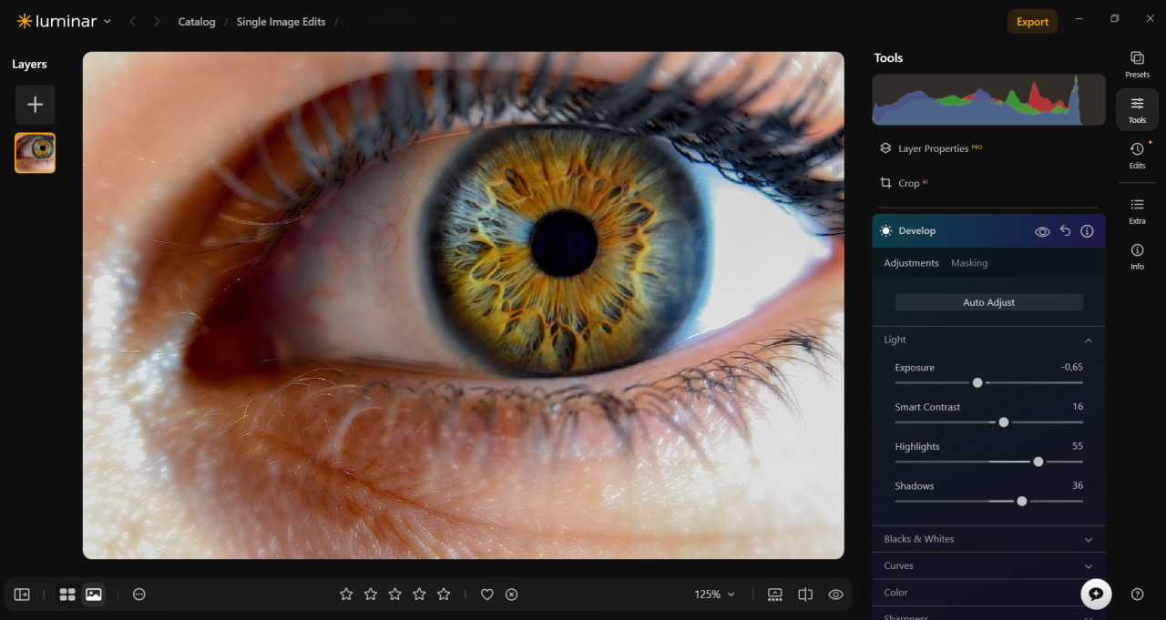 Basic settings in Luminar