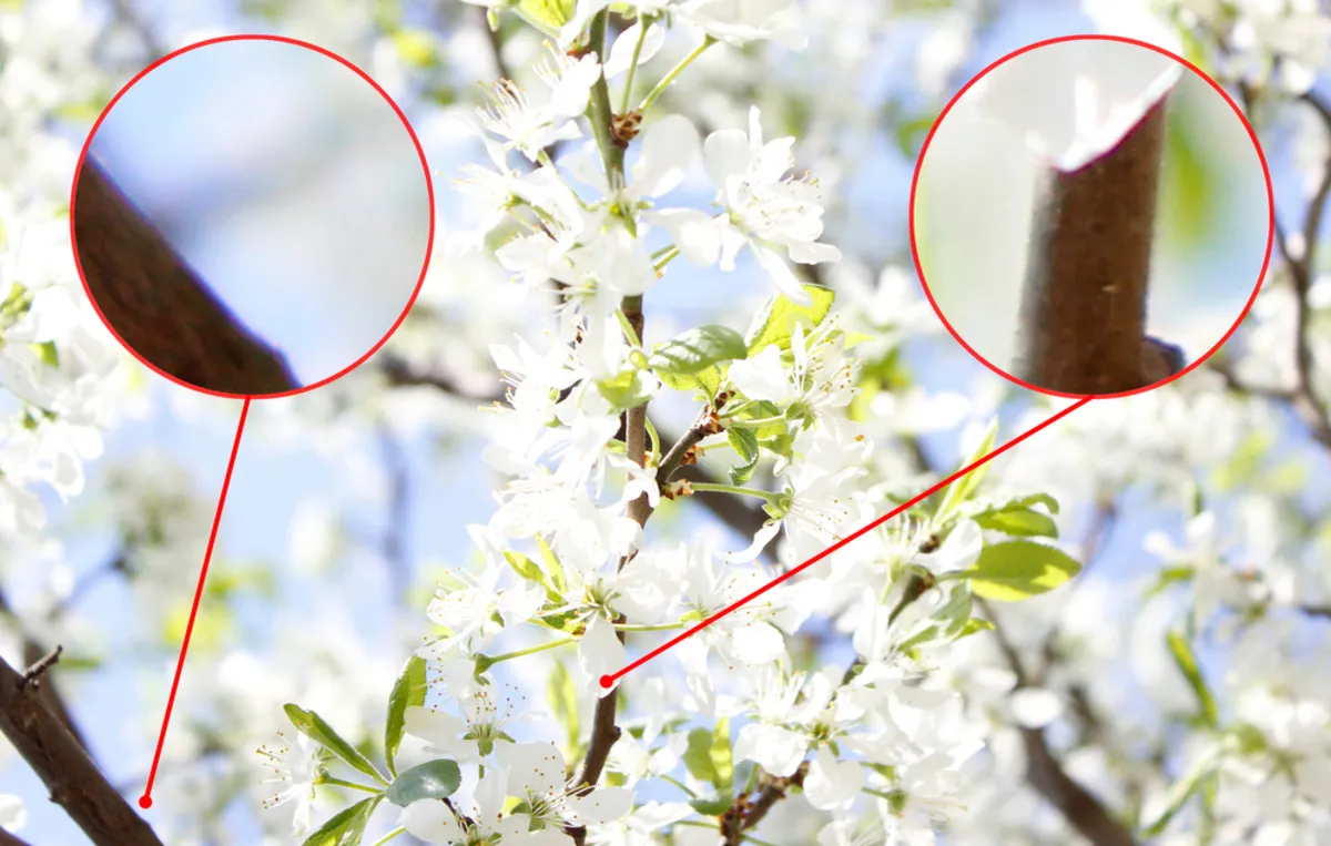 Chromatic Aberration example | Skylum Blog