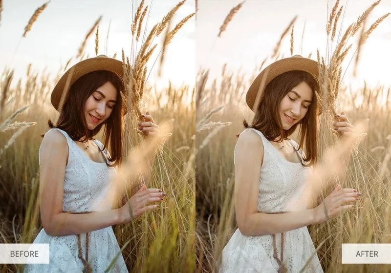 best free and paid photoshop actions modern lights