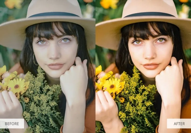 best free and paid photoshop actions natural