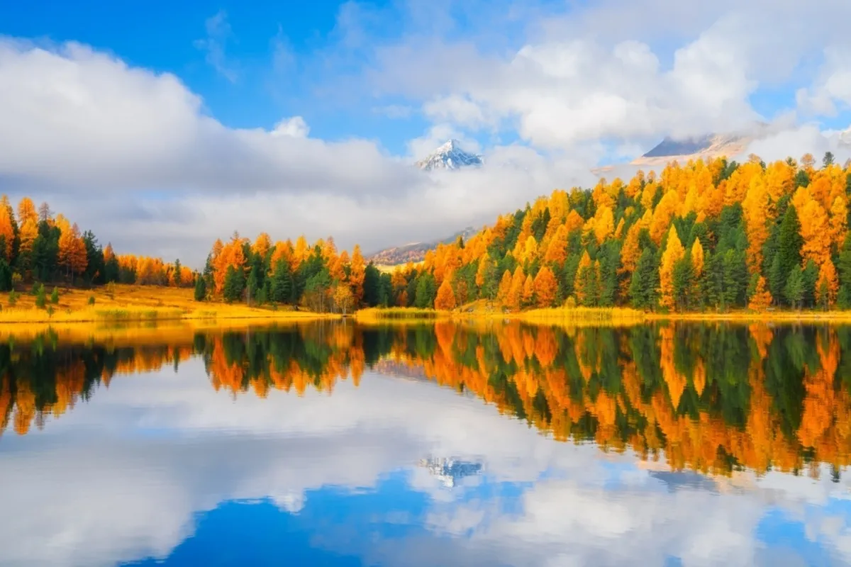 Autumn trees reflected in the water | Skylum Blog