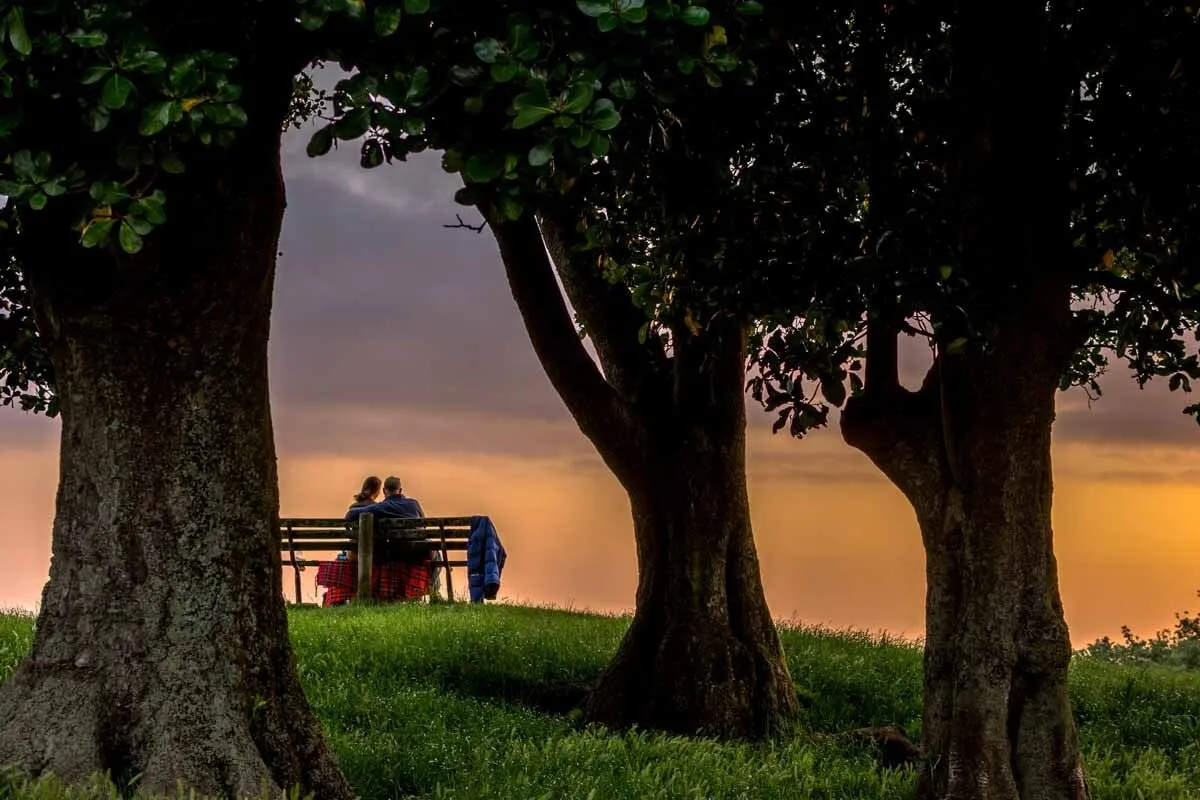 A couple on a bench, photographed through the trees | Skylum Blog