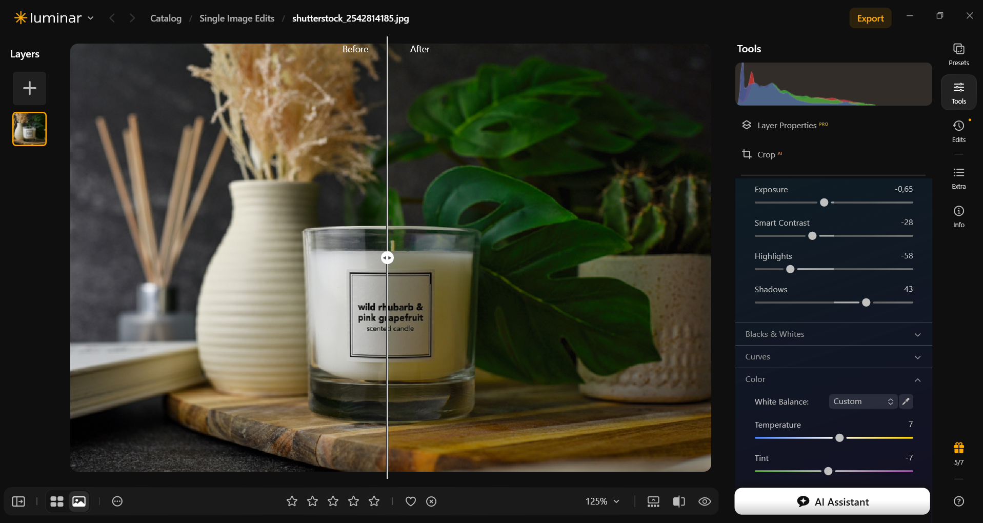 Develop RAW in Luminar