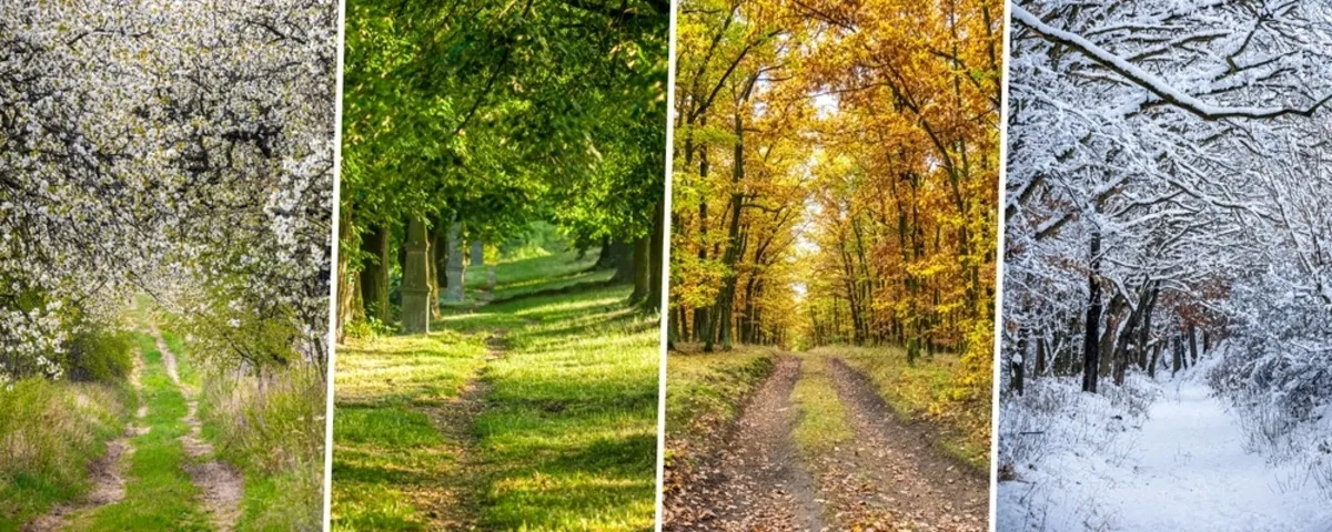 Seasonal photos | Skylum Blog