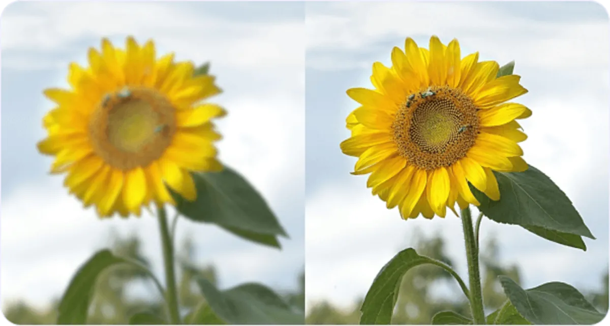 Photos of varying quality | Skylum Blog