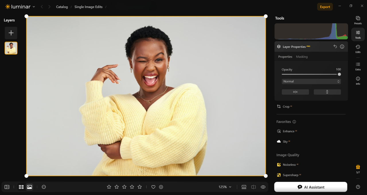 Open the Image and Select Its Layer in Luminar | Skylum Blog

