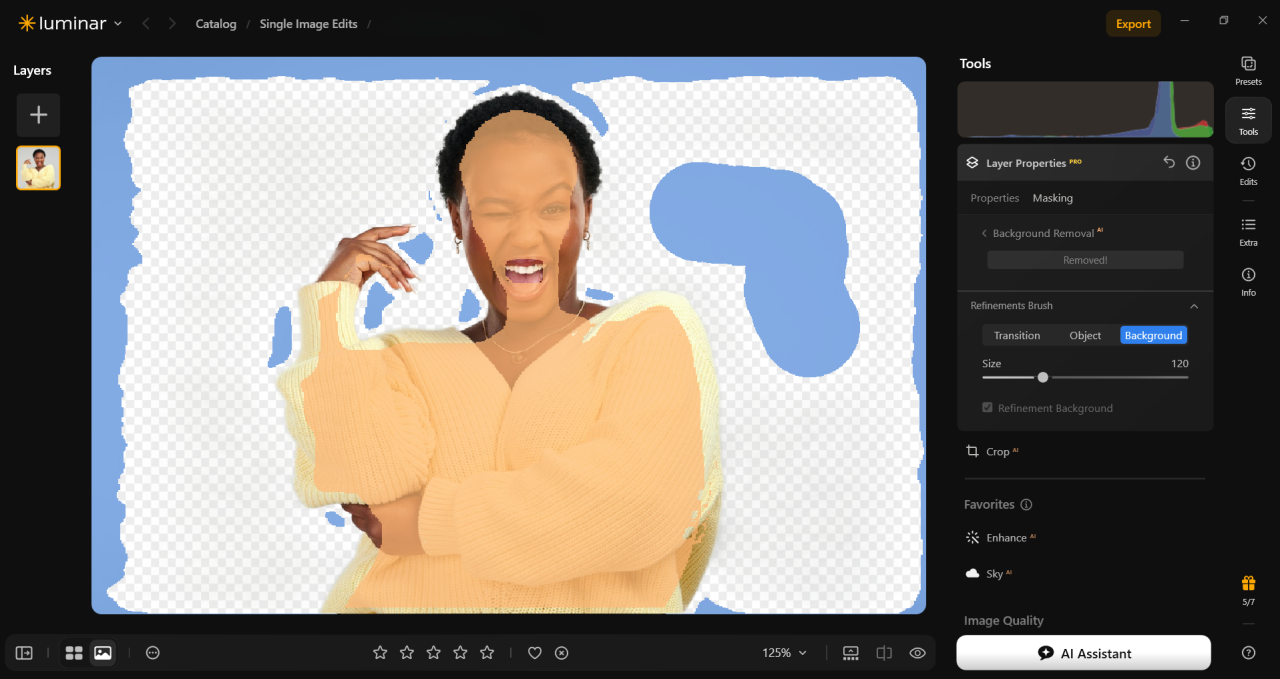 Refine the Mask in Luminar | Skylum Blog

