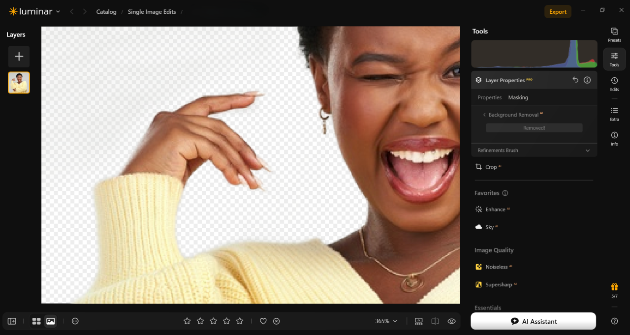 Check the Cutout in Luminar | Skylum Blog

