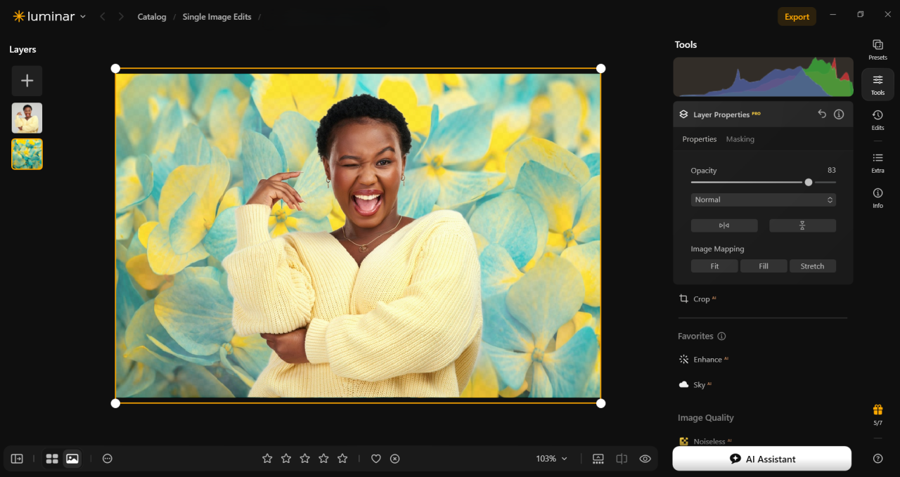 Keep Transparency or Add a Background in Luminar | Skylum Blog

