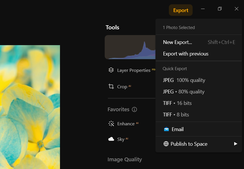 Export the Finished Image in Luminar | Skylum Blog

