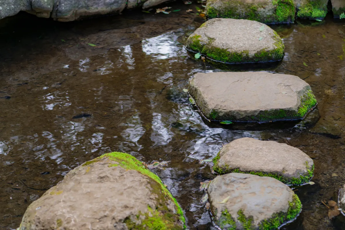  Five stones in the river | Skylum Blog