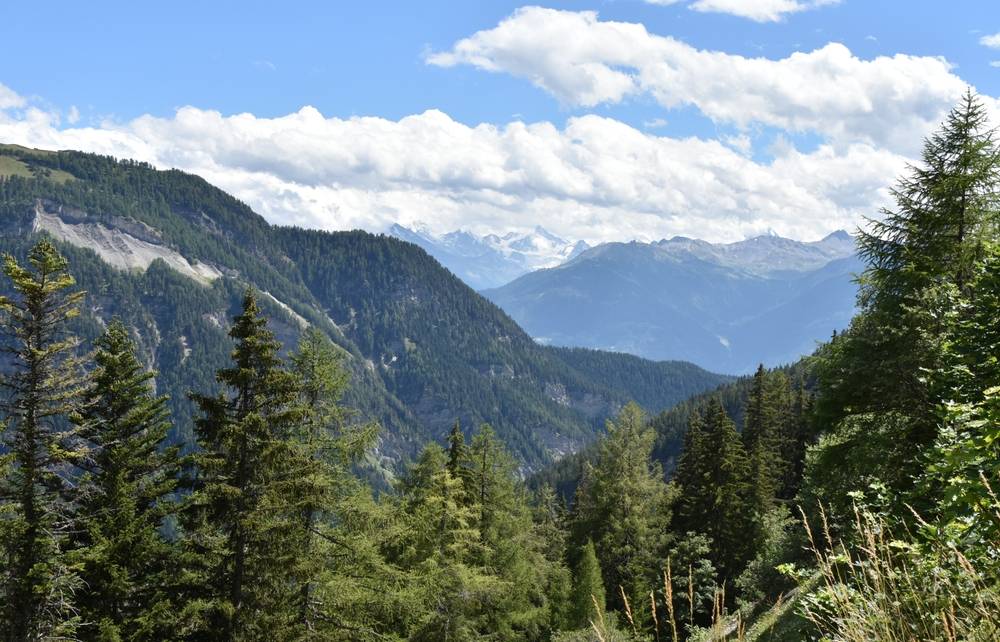 Long Swiss Alps with Foreground Middle Ground and Background 
